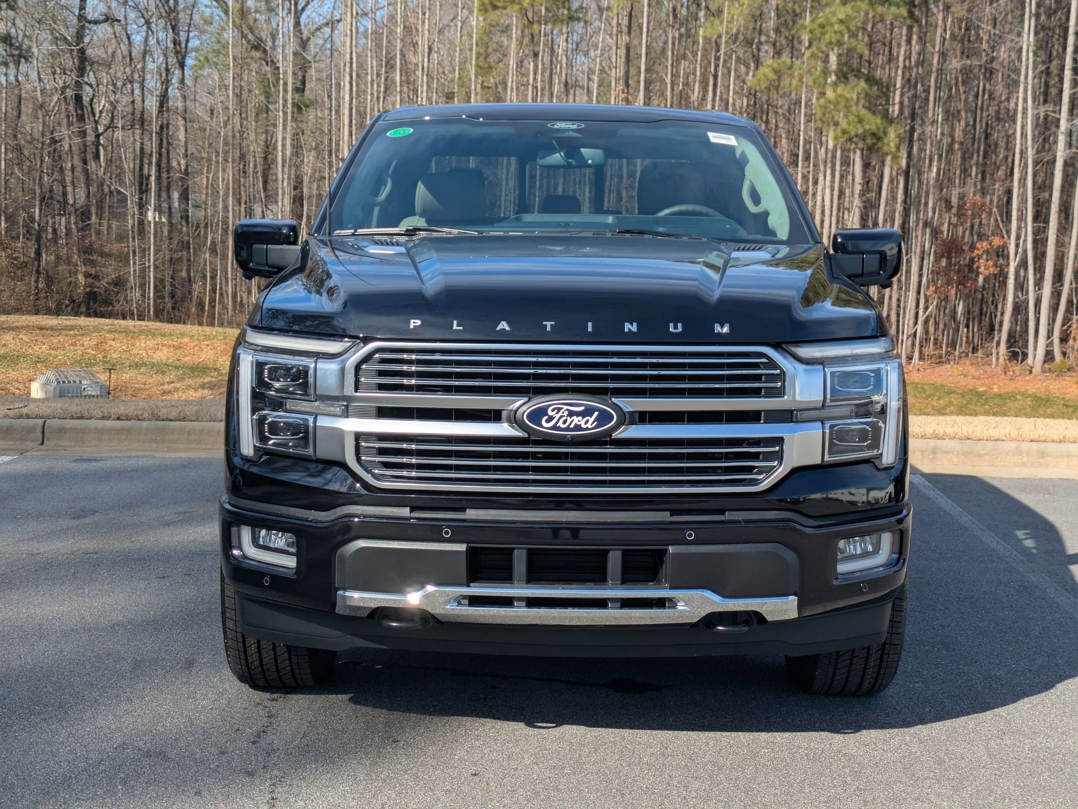 2025 Ford F-150 Platinum