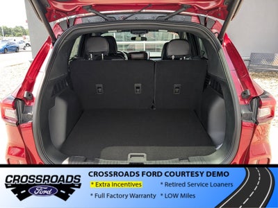 2025 Ford Escape ST-Line - Crossroads Courtesy Demo