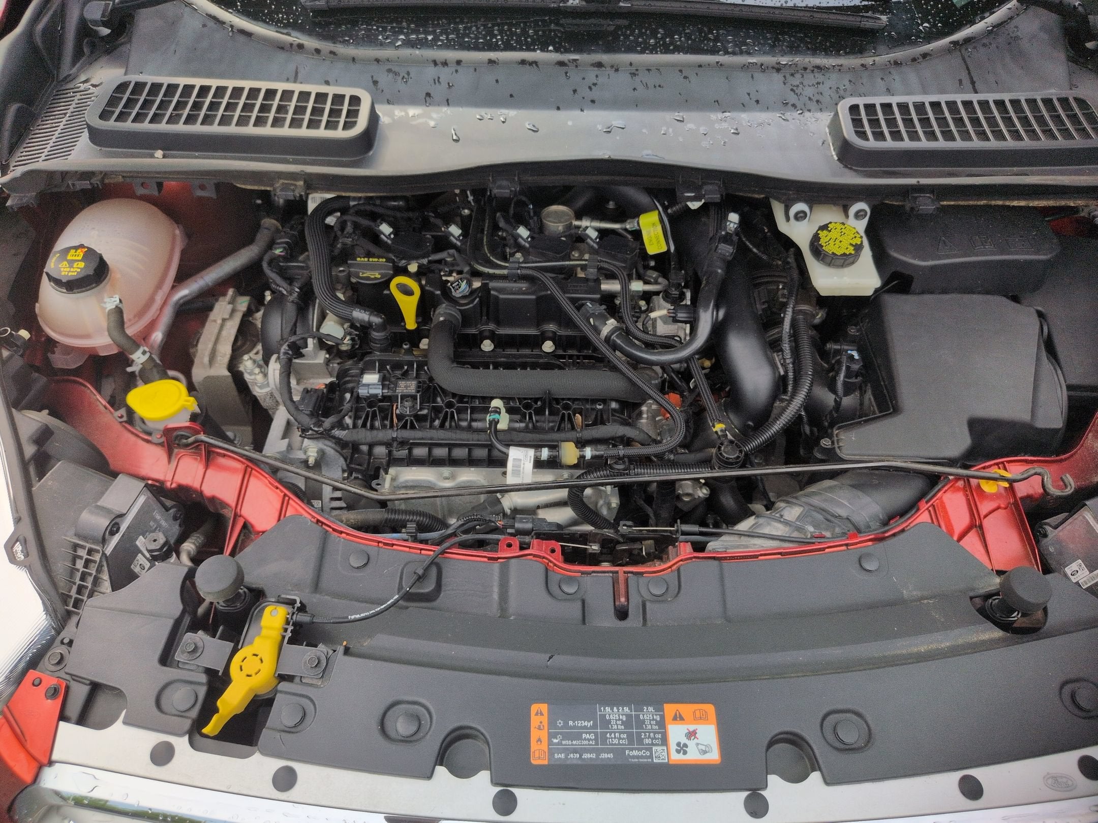 2019 Ford Escape SEL