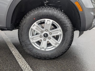 2026 Ford Ranger XL