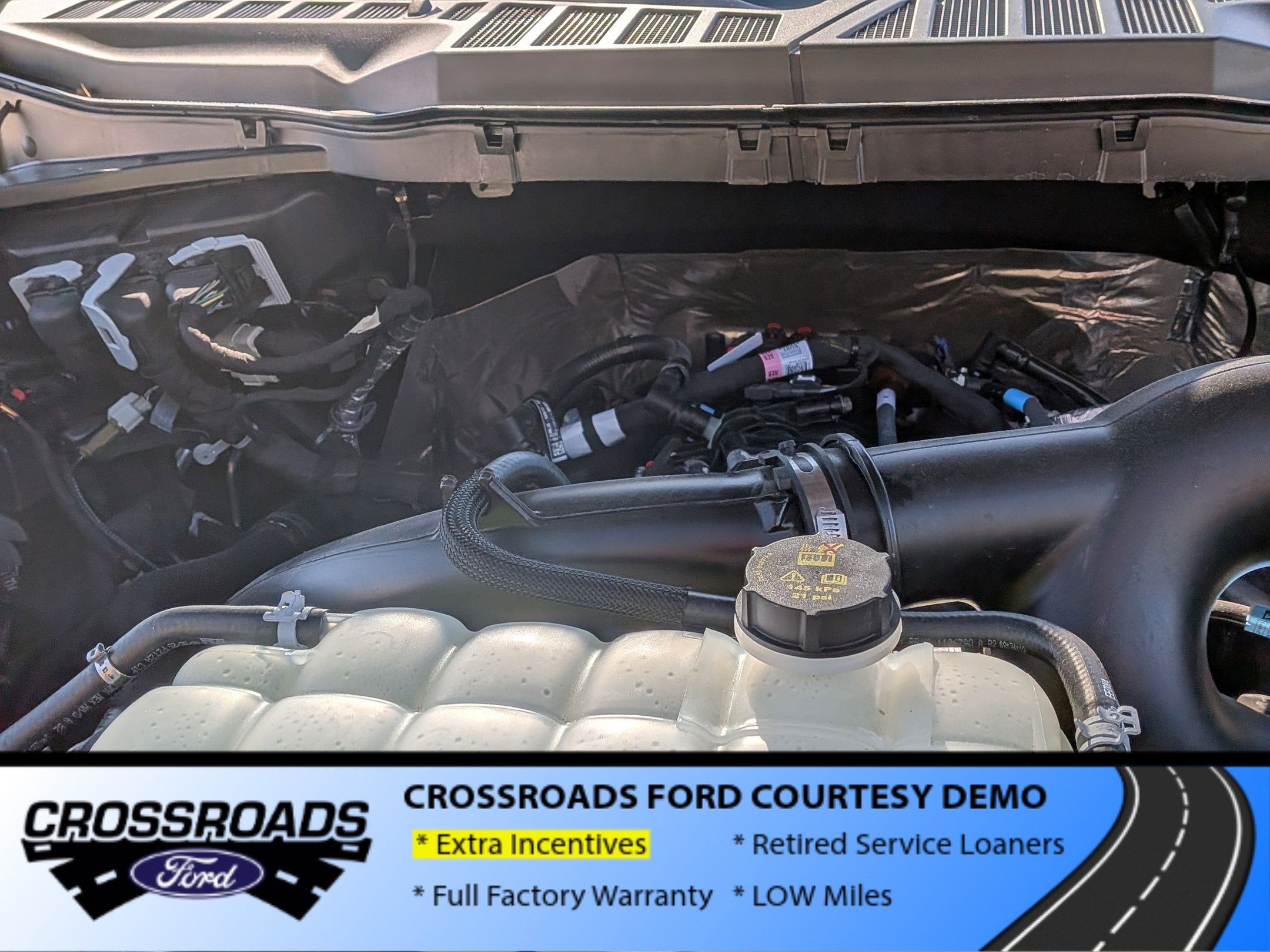2025 Ford F-150 STX - Crossroads Courtesy Demo
