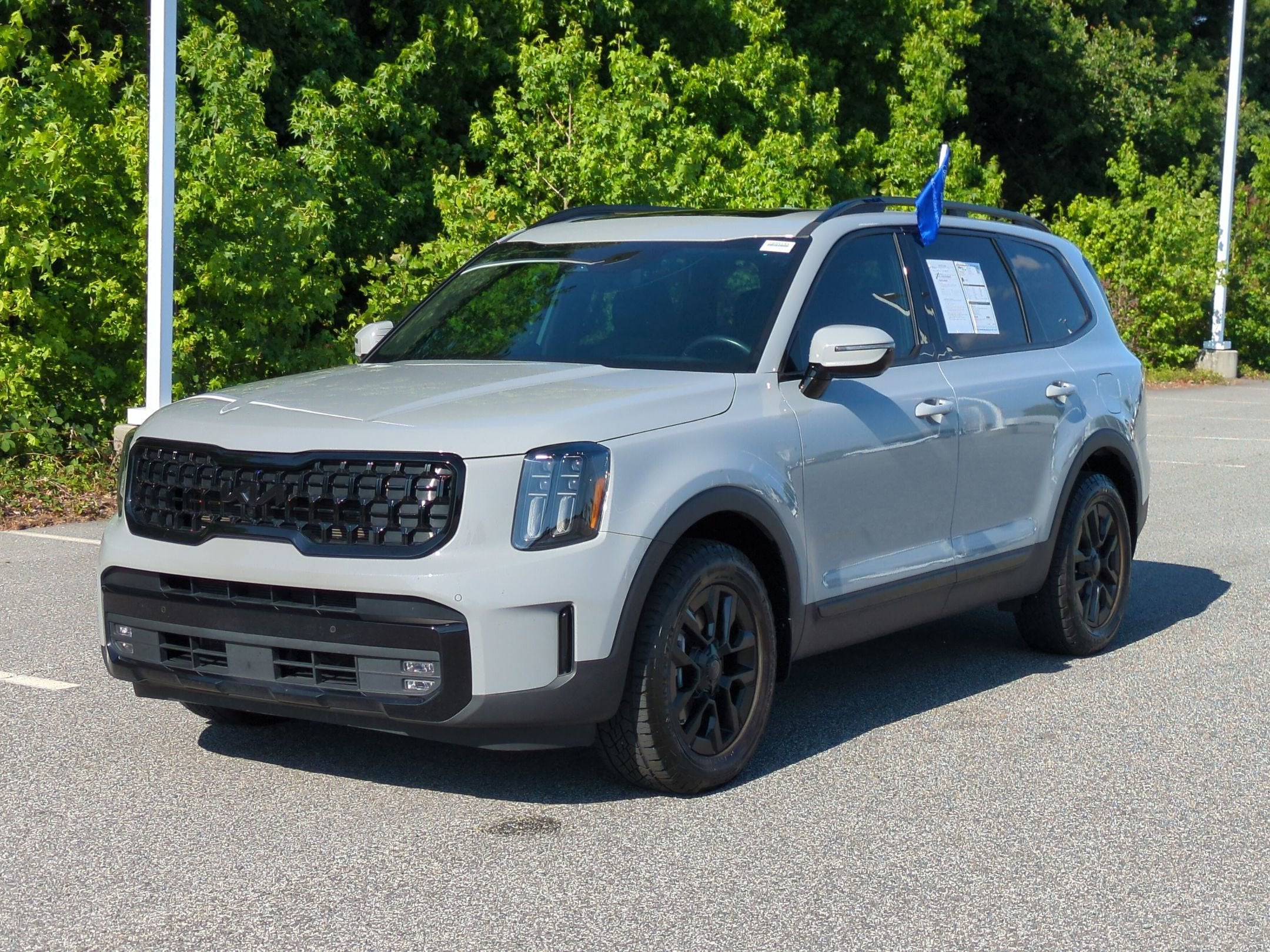 2025 Kia Telluride SX-Prestige X-Pro