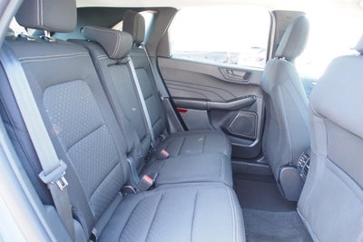 2025 Ford Escape Active - Crossroads Courtesy Demo