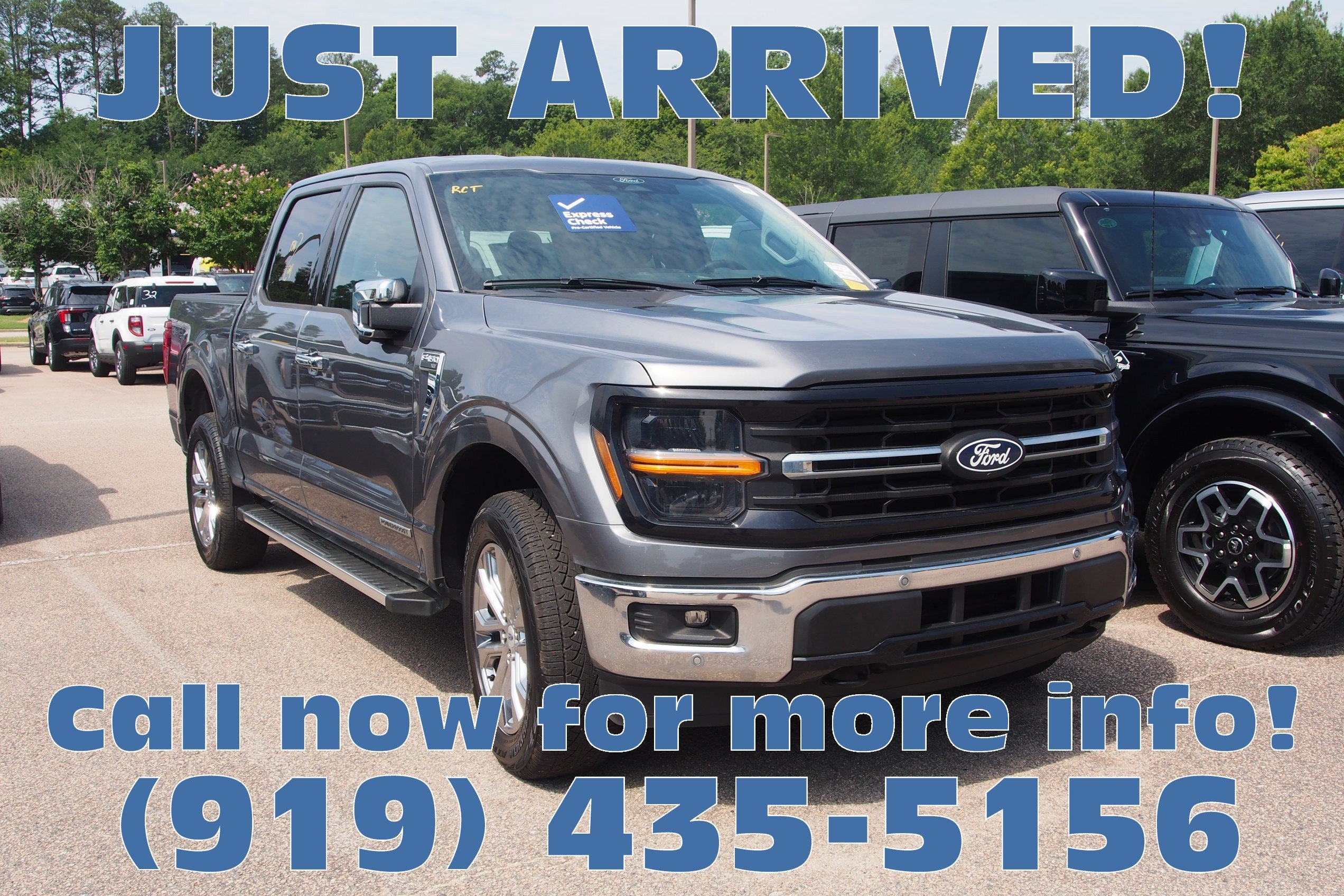 2024 Ford F-150 XLT