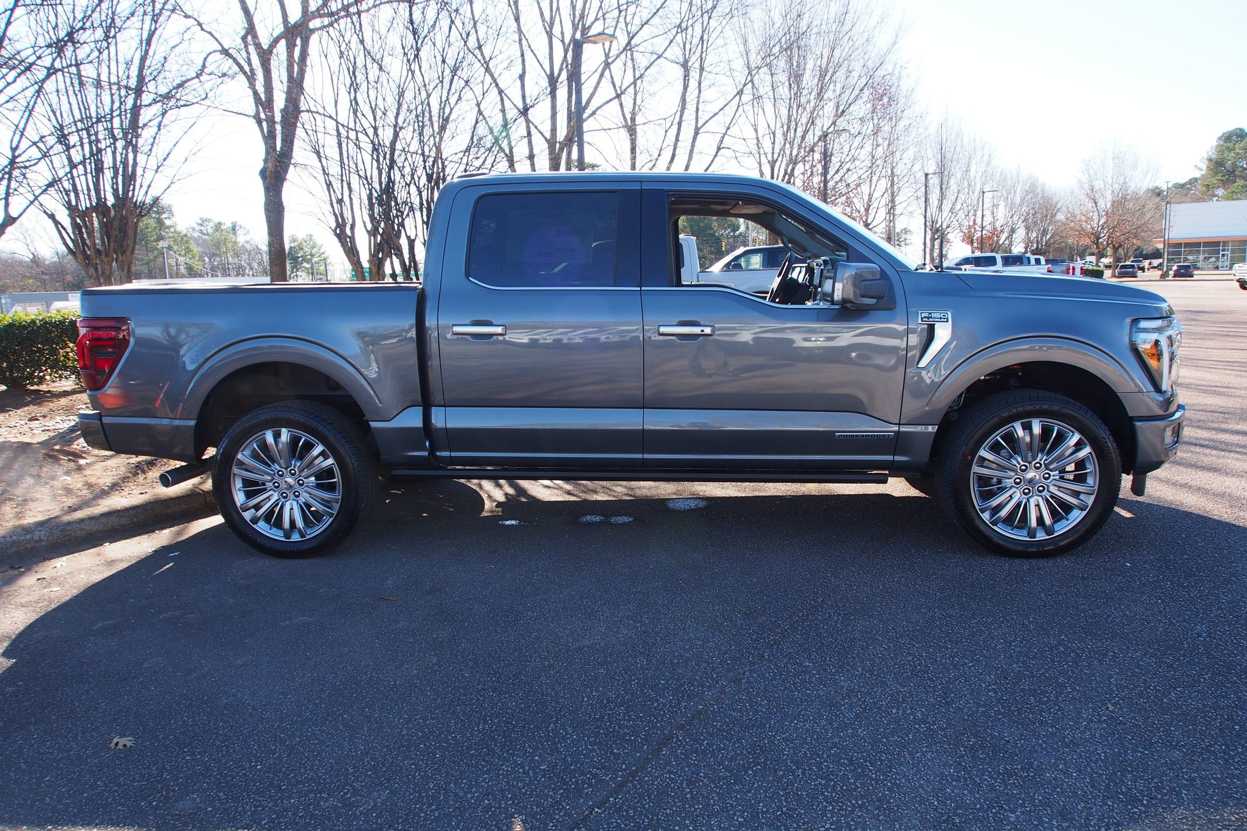2025 Ford F-150 Platinum