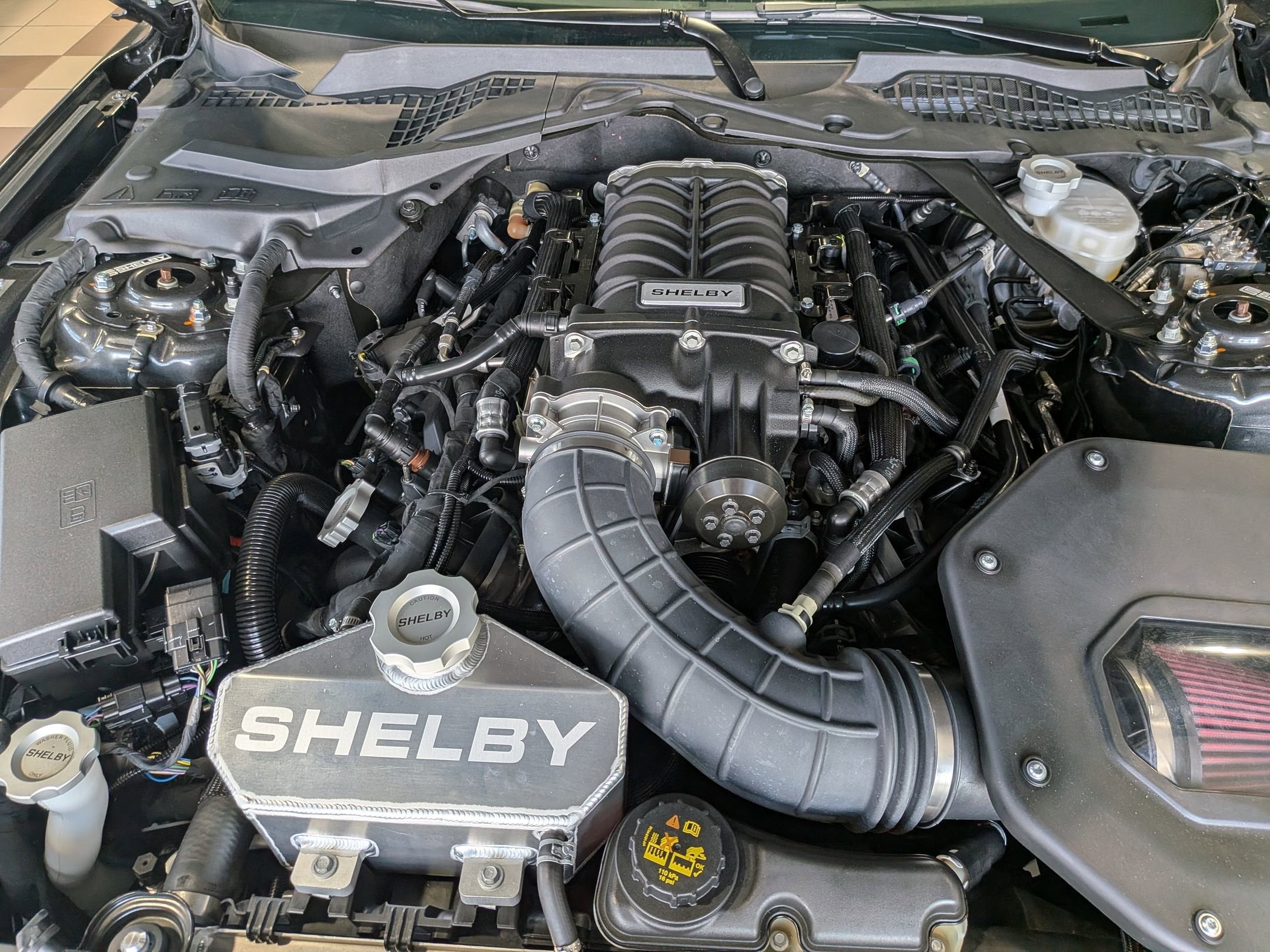 2019 Ford Mustang SHELBY