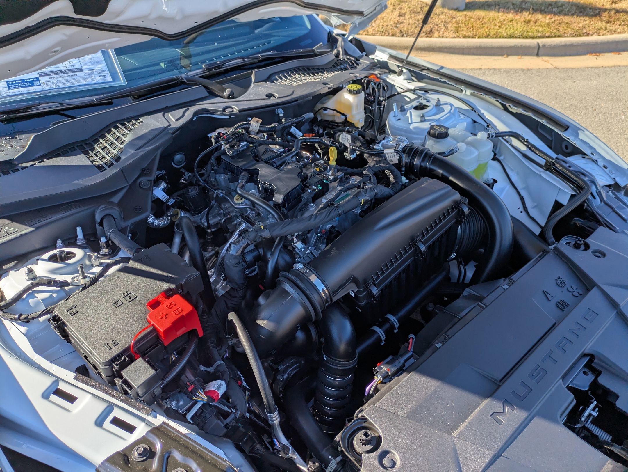 2026 Ford Mustang EcoBoost