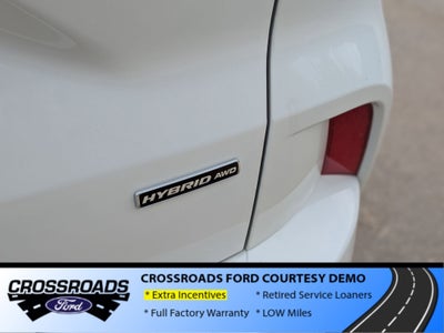 2025 Ford Escape ST-Line Elite - Crossroads Courtesy Demo