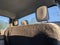 2026 Ford Super Duty F-250 SRW XLT - Crossroads Courtesy Demo