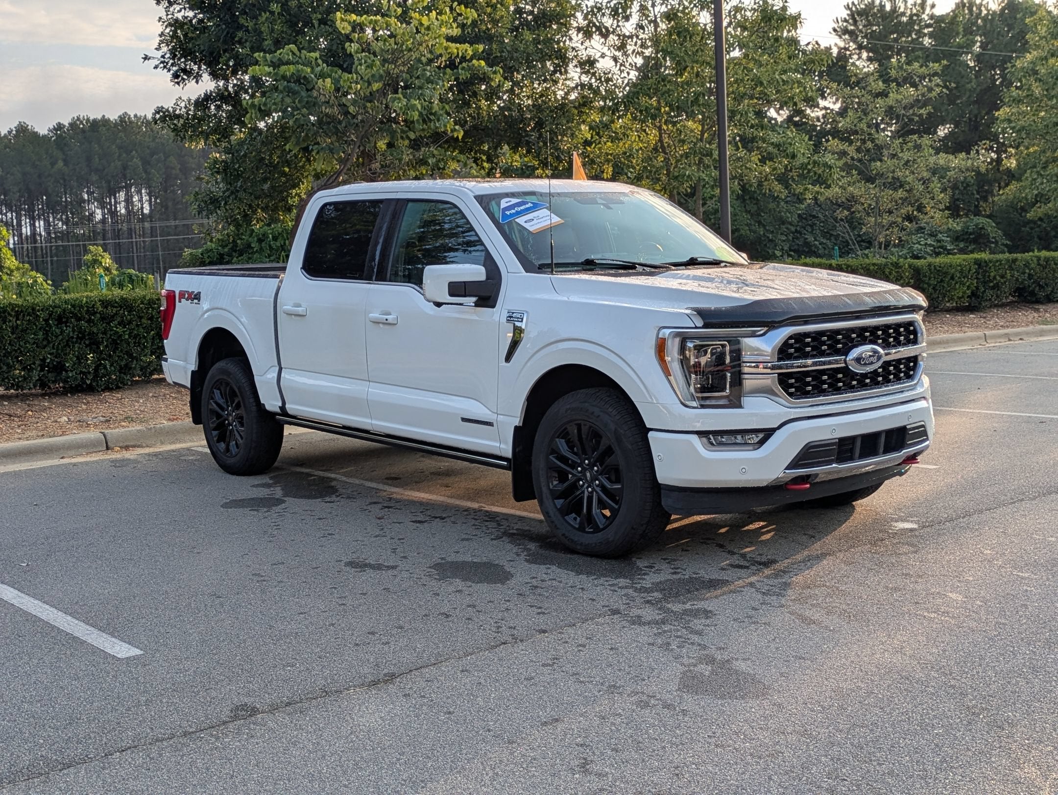 2021 Ford F-150 Platinum