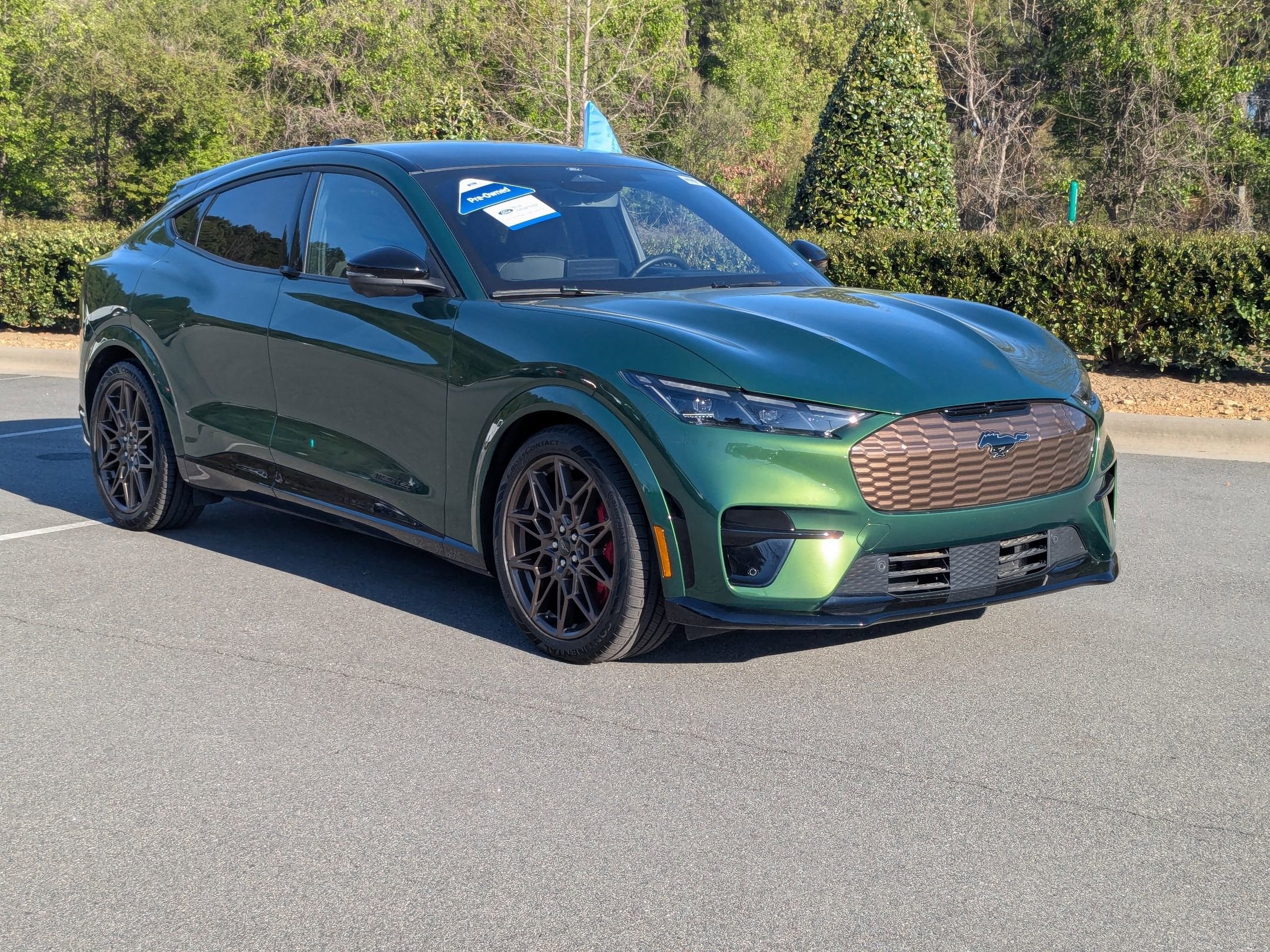 2025 Ford Mustang Mach-E GT