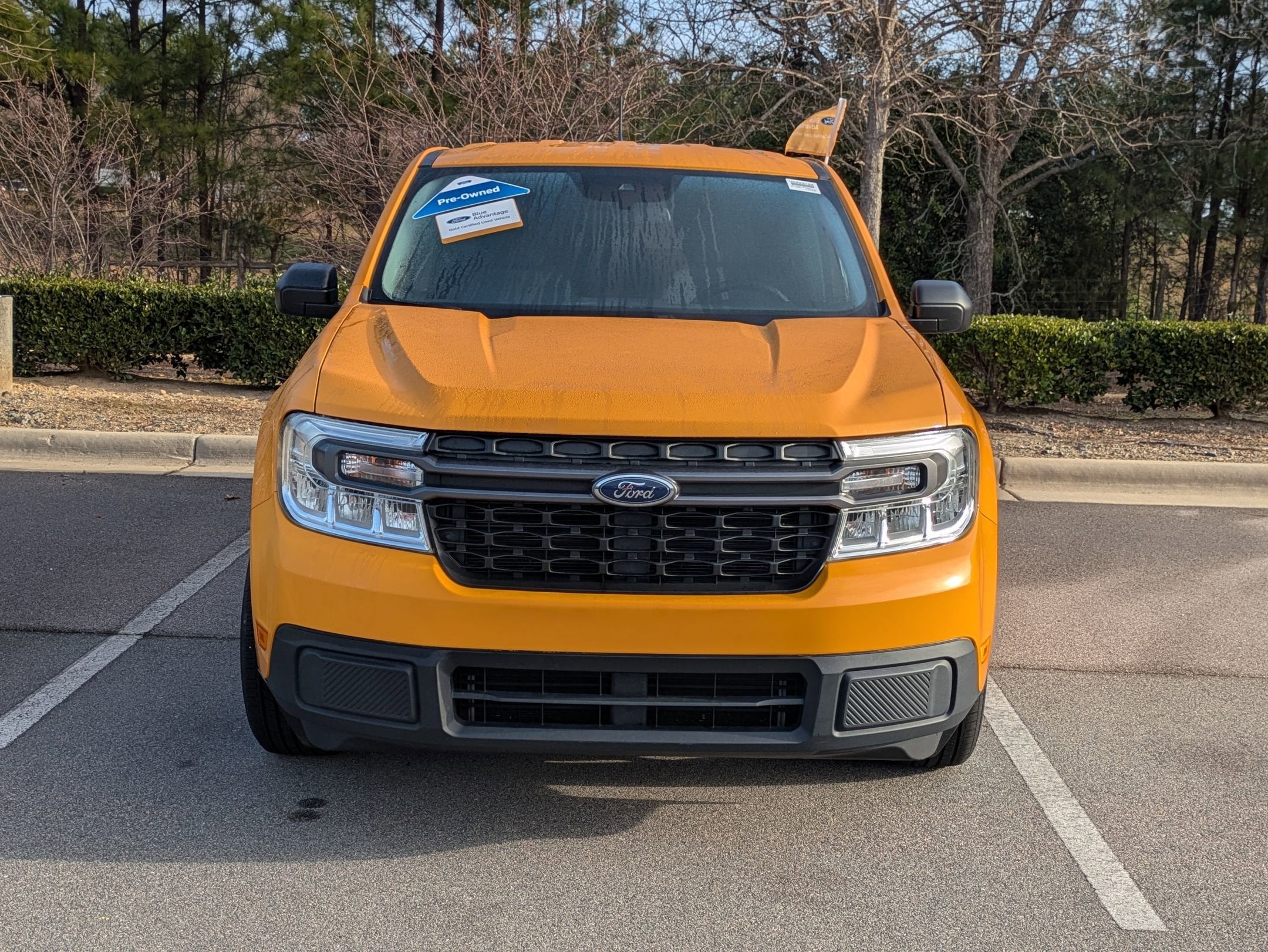 2022 Ford Maverick XLT