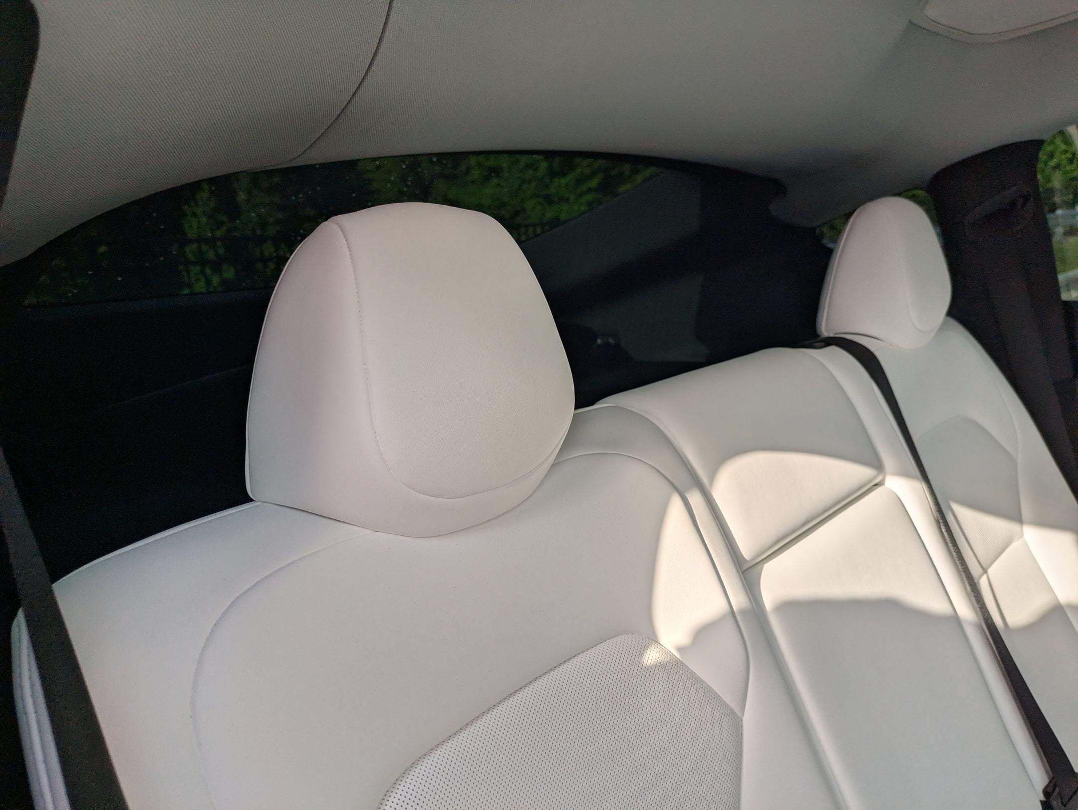 2026 Tesla Model Y Long Range Launch Series