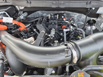 2025 Ford F-150 XLT - Crossroads Courtesy Demo