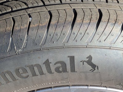 2025 Ford Maverick XLT - Crossroads Courtesy Demo