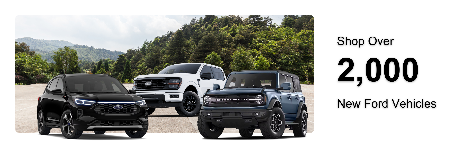 Shop Over 2,000 New Ford Vehicles